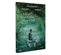 Anatomy of Time