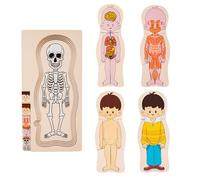 Anatomy Puzzle Wood - Body Puzzle Body Body Interactive Learning Games, Modello pedagogico | Giocattolo scheletrico e puzzle per l'apprendimento dei bambini con una chiara struttura del corpo