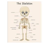 Anatomy Science Art Print - Detailed Human Skeleton Poster, Educational Decor for Biology Class, Study Room & Halloween(Unframed,16x24inch(40x60cm))