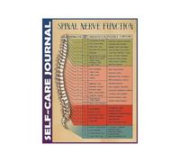 Anatomy Spine Metal Sign Chiropractic Office Decor Human Skeleton Back Bone Poster Wall-Art for Clinic 8 X 12 inch