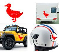 Anatra, Adesivo In Vinile Versione V3 XS.