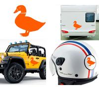 Anatra, Adesivo In Vinile Versione V3 XS