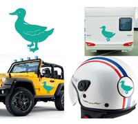 Anatra, Adesivo In Vinile Versione V3B