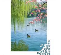 Anatre in uno stagno tra i salici Puzzle Primavera Water 1000 Pezzi Cartone Di Alta Qualità Per Adulti, Difficile Sfida Educativa, Idea Regalo Natale, Decorazione Murale 70x50cm/1000pcs