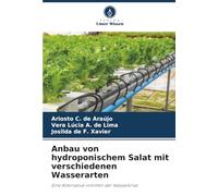 Anbau von hydroponischem Salat mit verschiedenen Wasserarten: Eine Alternative inmitten der Wasserkrise