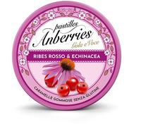 ANBERRIES RIBES RO&ECHINACEA