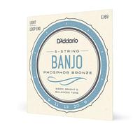 D'Addario EJ69 5-String Banjo Strings, Phosphor Bronze, Light, 9-20