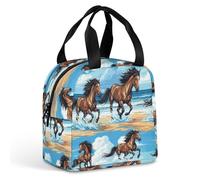 Anceky Borsa termica isolata per il pranzo con tasche frontali per uomo e donna, ideale per l'uso quotidiano e per chi ama il tempo libero, borsa termica pieghevole e portatile.