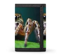 Anceky Portafoglio a tre ante Wildlife Spider da uomo - Sottile, 8 scomparti per carte, portamonete con cerniera, fermasoldi, scomparto