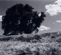 Ancestors - Invisible White by Ancestors (2011) Audio CD