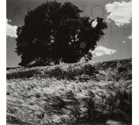 Ancestors Invisible White (Vinyl LP) 12" EP