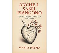 anche i sassi piangono: l'amore che nasce dalle crepe dell' anima