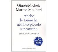 Anche le formiche nel loro piccolo s'incazzano