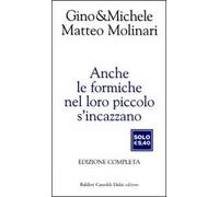 Anche le formiche nel loro piccolo s'incazzano