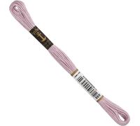 Anchor Stranded Cotton 00869 8 m Filato da ricamo