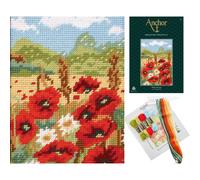 Anchor Tapestry Kit Per Principianti Punto Ricamo Set Tela Ago Filo
