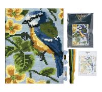 Anchor Tapestry Kit Per Principianti Punto Ricamo Set Tela Ago Filo