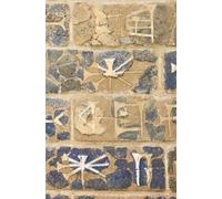 Ancient Babylon Cuneiform Notebook | Ishtar Gate Writing Journal | History & Archaeology Gift, 5.25 x 8 Inch Lined Notebook, 200 Pages