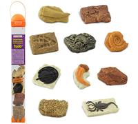 Ancient Fossils