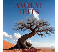 Ancient Trees Calendar 2027: Forest Trees and Quiet Scenery