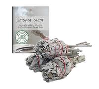 Ancientveda USDA, confezione da 3 pacchetti e guida per smudge per smudging, pulizia, meditazione, purificazione (salvia bianca)