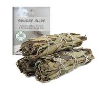 Ancientveda USDA, confezione da 3 pacchetti e guida per smudging, pulizia, meditazione, purificazione (sage ssenziale, Yerba Santa Sage)