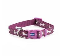 Ancol Collare per cani alla moda viola con osso regolabile, in nylon, per cuccioli e animali domestici, design elegante con zampa e ossa con chiusura a scatto, resistente alle intemperie, vestibilità