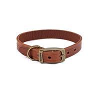 ANCOL Latigo Collare Castagna 26-31cm Taglia 2
