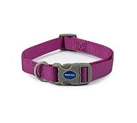 Ancol Viva - Collare per cani regolabile Quick Fit, viola, resistente alle intemperie, in tessuto di poliestere, 20-30 cm, taglia 1-2