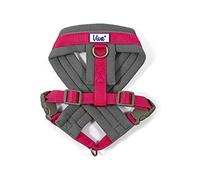 Ancol Viva - Pettorina imbottita per cani, in micropile, regolabile, resistente alle intemperie, in tessuto di poliestere, accessorio per addestramento, taglia L, 52-71 cm, colore: rosa