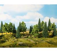 Ancora 24623 foresta mista