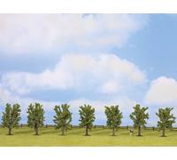 Ancora 25088 alberi decidui