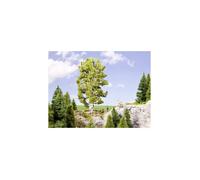 21641 NOCH SERIE PROFI HO/O BETULLA DOPPIO TRONCO ALT. 19 CM. scala HO 1:87