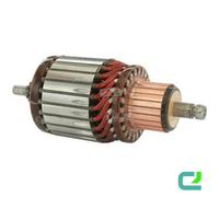 Ancora Starter Kit 11 Denti