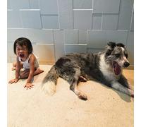 And So I Watch You Afar - Endless Shimmering