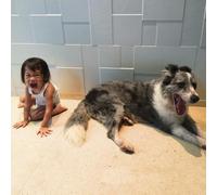 And So I Watch You From Afar The Endless Shimmering (CD) Album Digipak