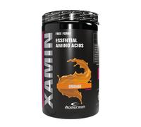 Anderson Xamin 312g Integratore Aminoacidi Essenziali in Polvere Kyowa