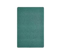 andiamo Tappeto Grotone - Tappeto in tessuto per soggiorno, camera da letto, sala da pranzo e corridoio, facile da pulire, resistente per l'ufficio, 80 x 300 cm, colore verde