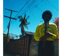 André 3000 - Moving Day (LP)