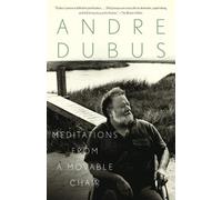 Andre Dubus Meditations from a Movable Chair (Tascabile) Vintage Contemporaries