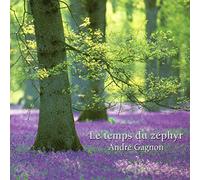 Andre Gagnon - Brand New Best