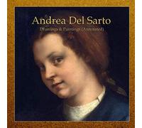 Andrea Del Sarto: Drawings & Paintings (Annotated)