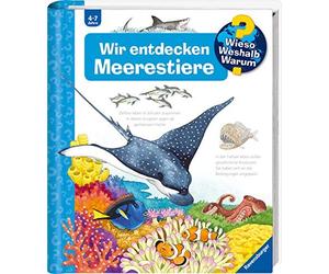 Andrea Erne Ann Wieso? Weshalb? Warum?, Band 27: Wir entdecken Me (Anello, filo)