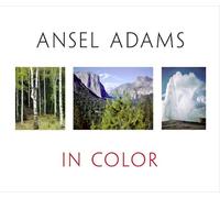 Andrea Gray Stillman Ansel Adams John P. Sch Ansel Adams in (Copertina rigida)