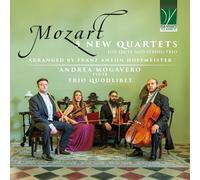 Andrea Mogavero / Trio Quodlibet - Wolfgang Amadeus Mozart: 5 New Quartets Fo...