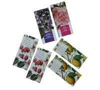 Andrea Stainer - Kit 6 tavolette di cioccolato da 50gr ai gusti di frutta e fiori - 1 fondente alla rosa, 1 fondente alla viola, 2 cioccolato bianco con limone, 2 cioccolato bianco con lampone
