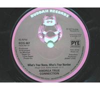 Andrea True Connection - Andrea True Connection What's Your Name What's Your Number 7" Buddah BDS467 EX 1977