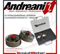 Andreani Kit Pistone Forcella Sachs 46 Big Piston per BMW S 1000 RR 2017 17