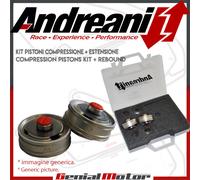Andreani Kit Pistone Forcella Sachs Big Piston per BMW S 1000 RR 2012 > 2014