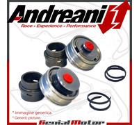 Andreani Pistoni Bpf Pompanti Compres+Estensione Suzuki GSX-R 1000 2009 09